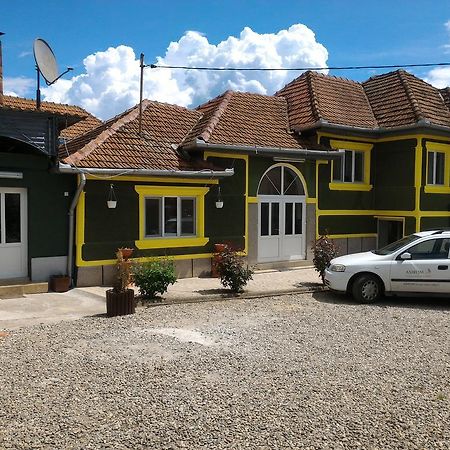 Casa Ana Διαμέρισμα Haţeg Εξωτερικό φωτογραφία