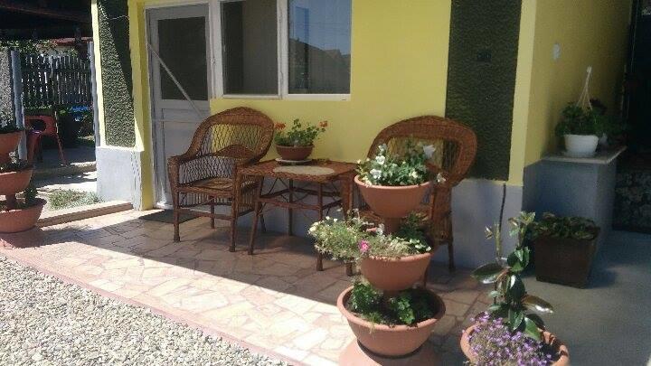 Casa Ana Διαμέρισμα Haţeg Εξωτερικό φωτογραφία