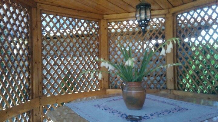 Casa Ana Διαμέρισμα Haţeg Εξωτερικό φωτογραφία