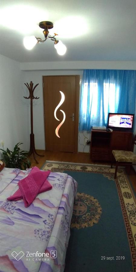 Casa Ana Διαμέρισμα Haţeg Εξωτερικό φωτογραφία
