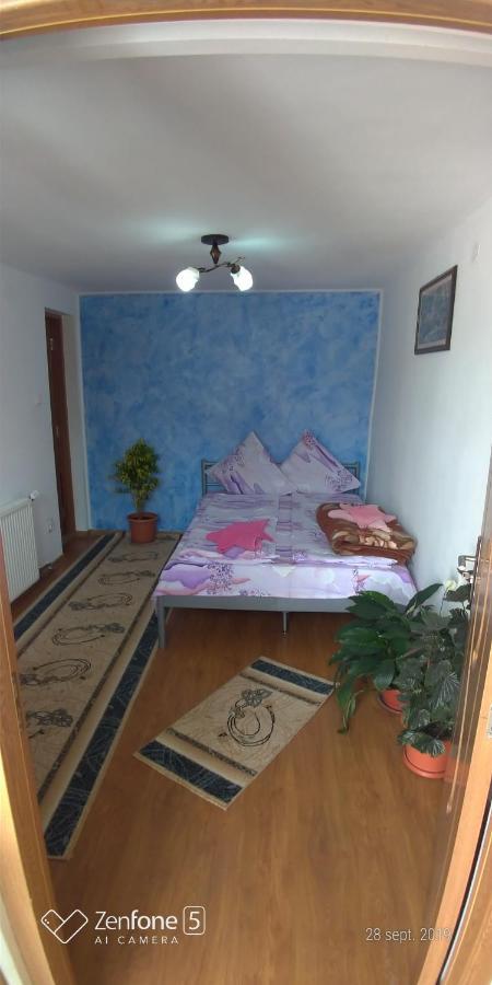 Casa Ana Διαμέρισμα Haţeg Εξωτερικό φωτογραφία