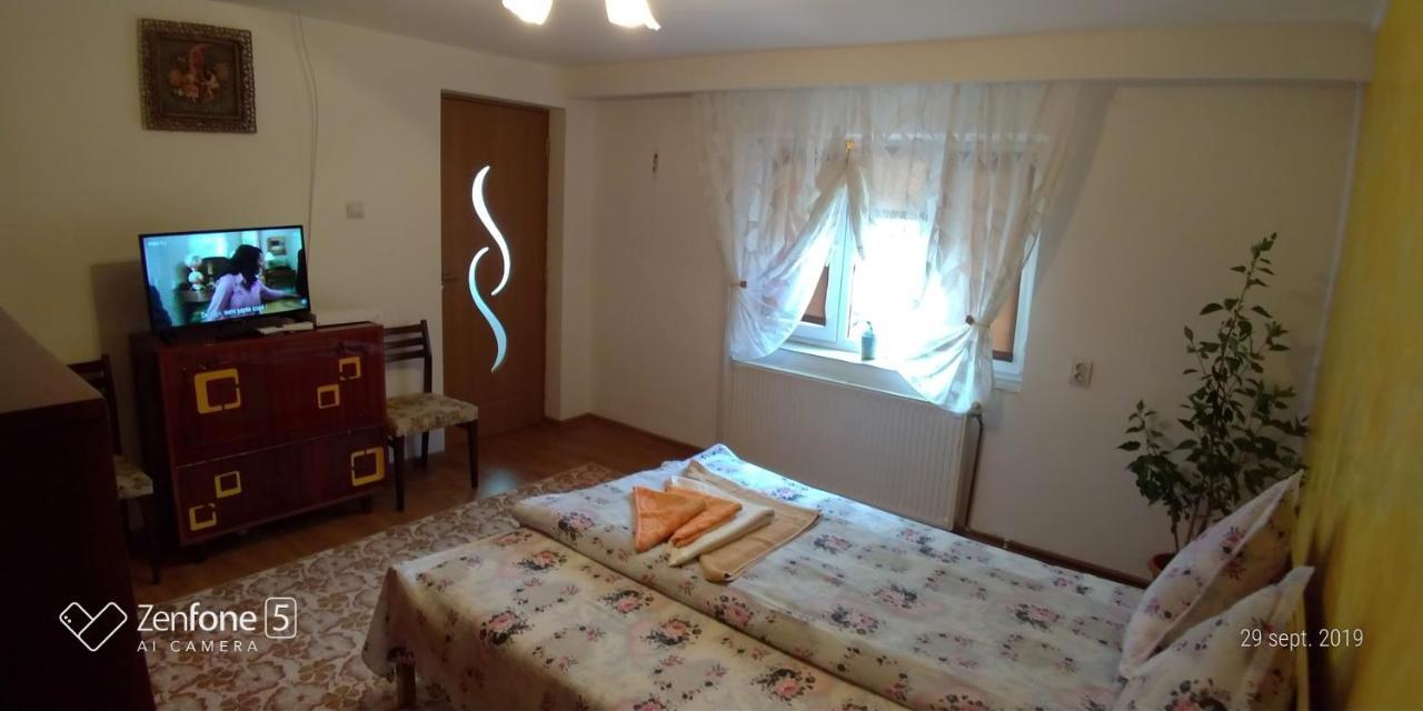 Casa Ana Διαμέρισμα Haţeg Εξωτερικό φωτογραφία
