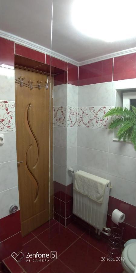 Casa Ana Διαμέρισμα Haţeg Εξωτερικό φωτογραφία